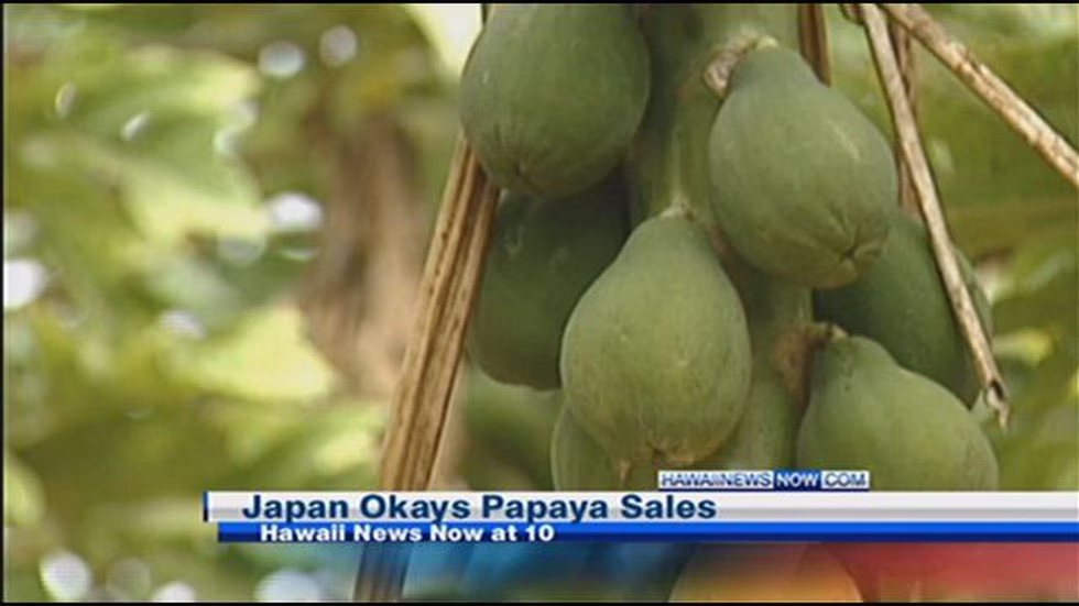 Japan approves sale of Hawaii's genetically modified papayas